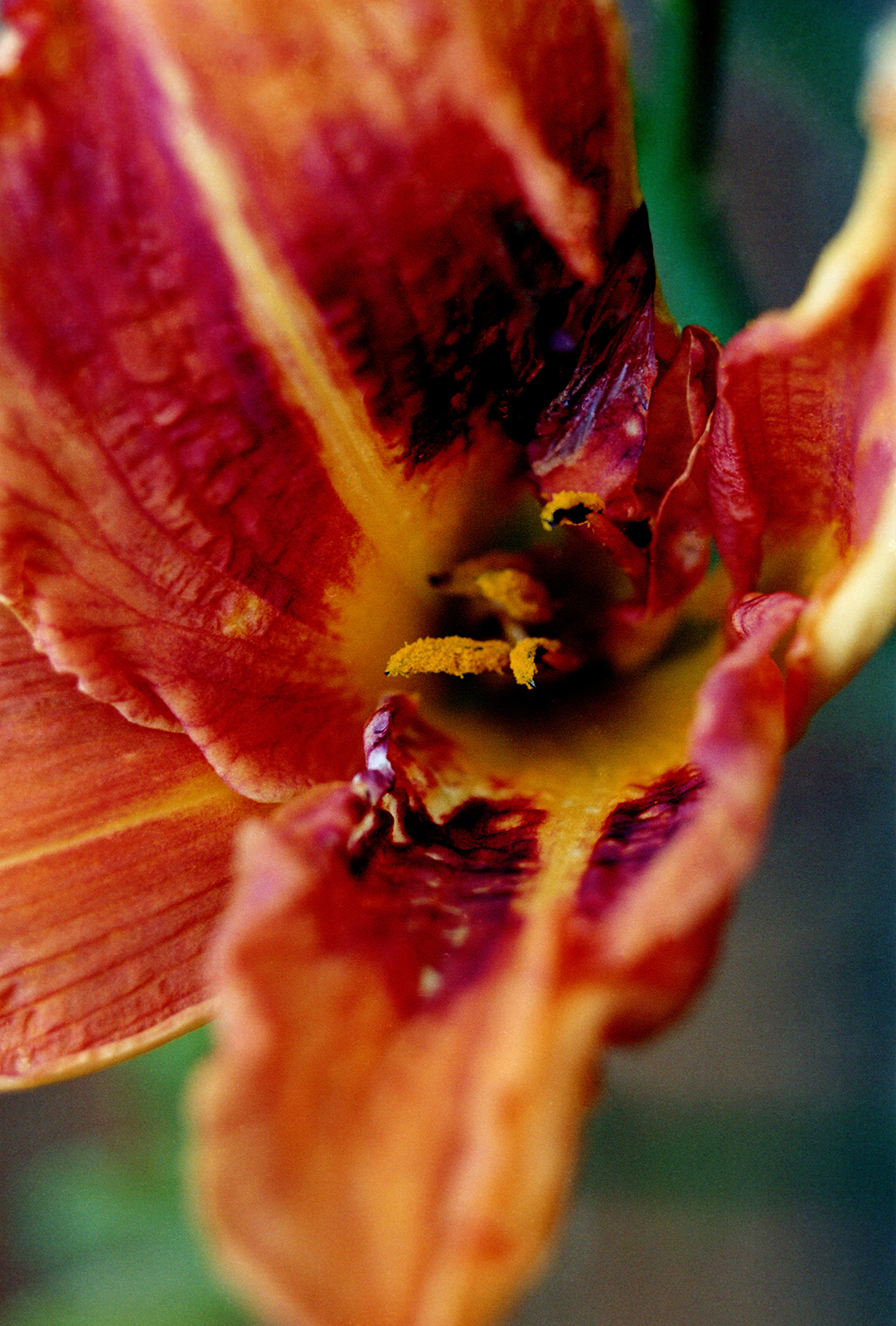 ACRE training visual